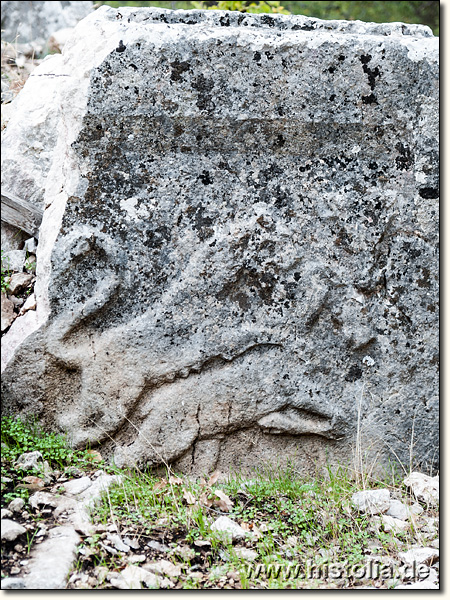 Kelbessos in Pisidien - Relief auf einem Sarkophag, Löwin schlägt einen Widder