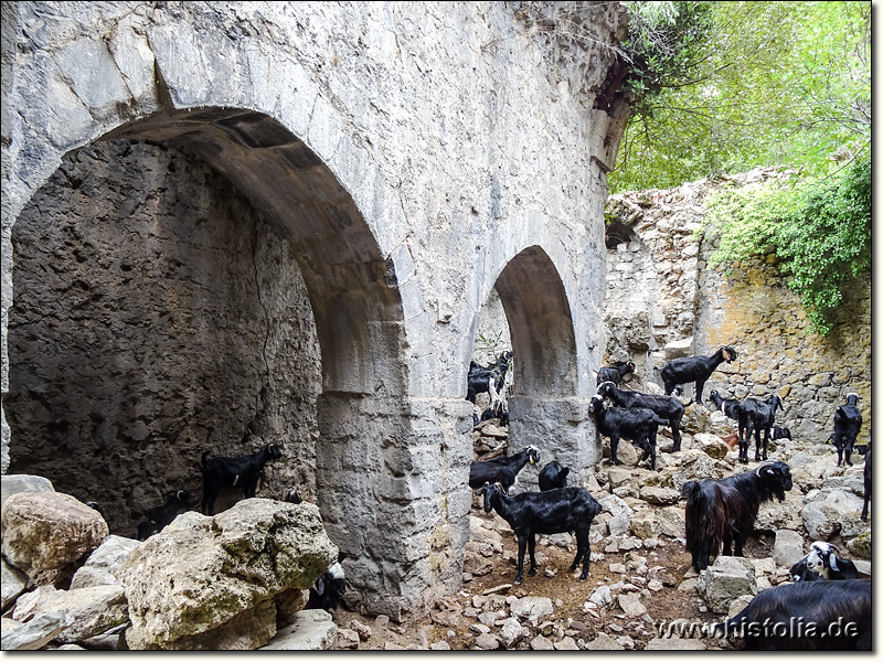 Karawanserei Beldibi-Han in Pisidien - Einige der noch stehenden Gewölbebögen; Heutige Nutzung als Ziegenstall