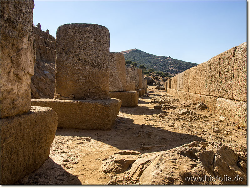 Alabanda in Karien - Fundamente, Mauer- und Säulenreste des Zeus-Tempels von Alabanda