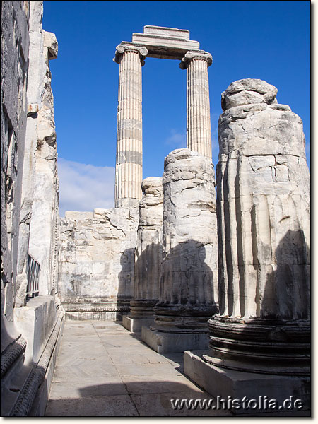 Didyma in Karien - Säulenreihen im Eingangbereich des Apollon-Temples von Didyma