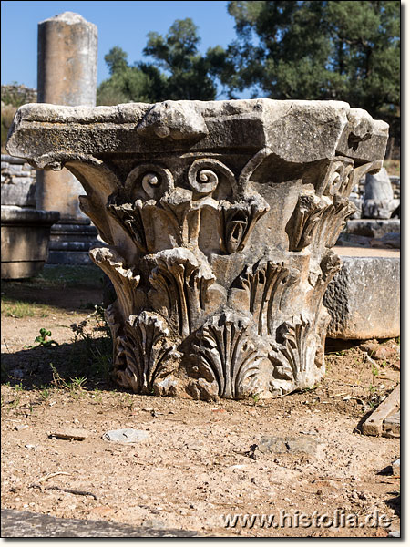 Iassos in Karien - Korinthisches Säulenkapitell auf der Ostseite der Agora von Iassos