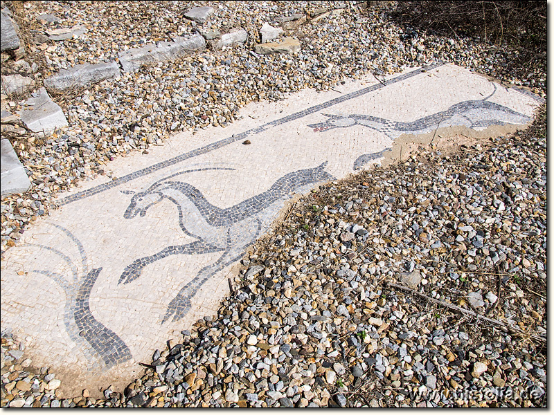 Iassos in Karien - Mosaike am Aufgang zum Stadtgebiet nach dem südlichen Stadttor am Südende der Halbinsel