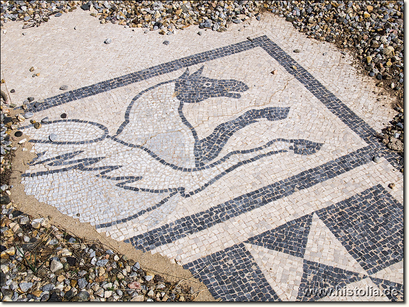Iassos in Karien - Mosaike am Aufgang zum Stadtgebiet nach dem südlichen Stadttor am Südende der Halbinsel