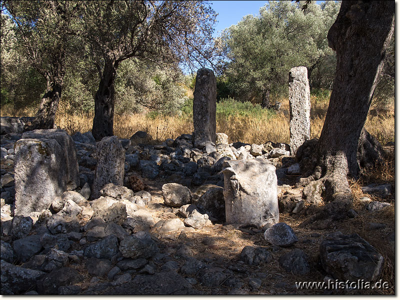 Kedreai in Karien - Reste des Apollon-Tempels von Kedreai, vorne ein stark beschädigter Altar