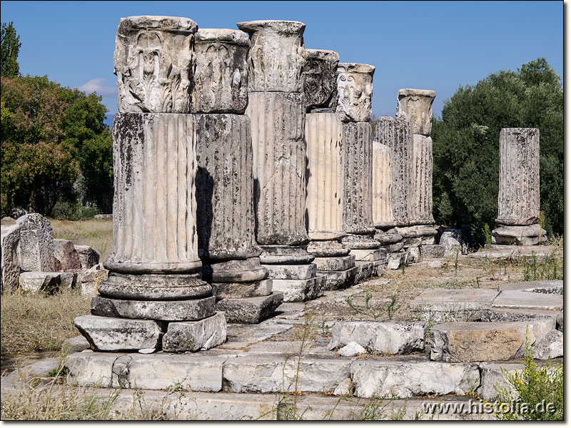 Lagina in Karien - Säulenreihe des Hekate-Tempels von Lagina