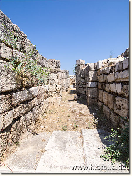 Magnesia in Karien - Außenmauern und Gang in der Basilika