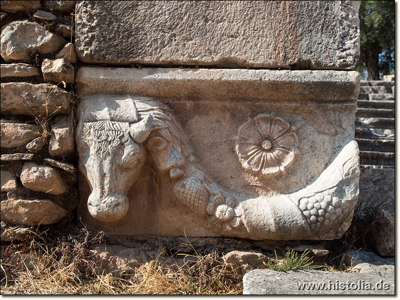 Nysa in Karien - Ein im Bouleuterion von Nysa wiederverwendeter Architravstein mit Stierkopf-Verzierung