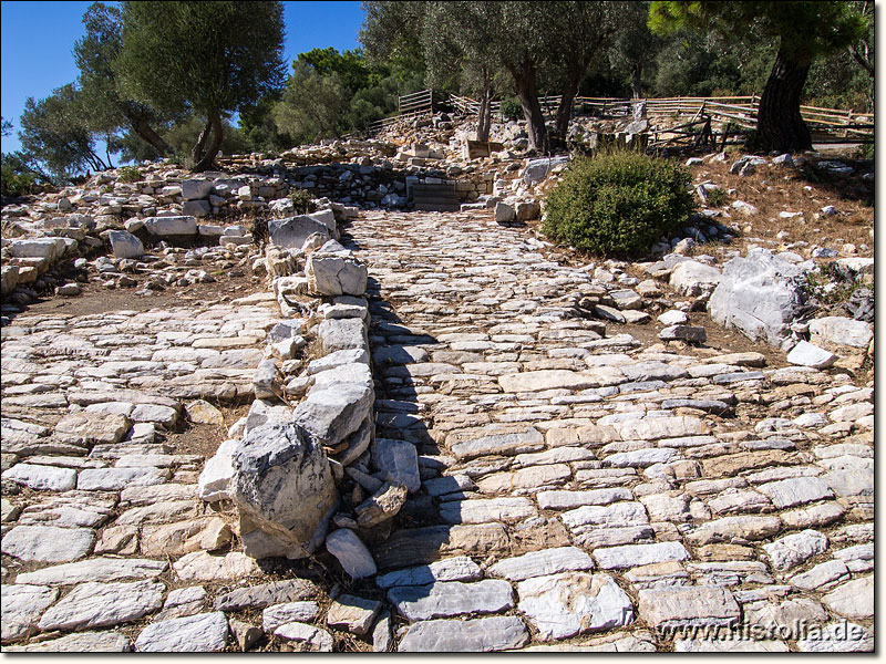 Pedasa in Karien - Ein gepflasterter Weg hinauf zum Athene-Heiligtum von Pedasa
