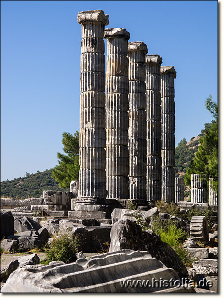 Priene in Karien - 5 (von mehr als 30) wieder aufgestellte Säulen des Athene-Tempels von Priene