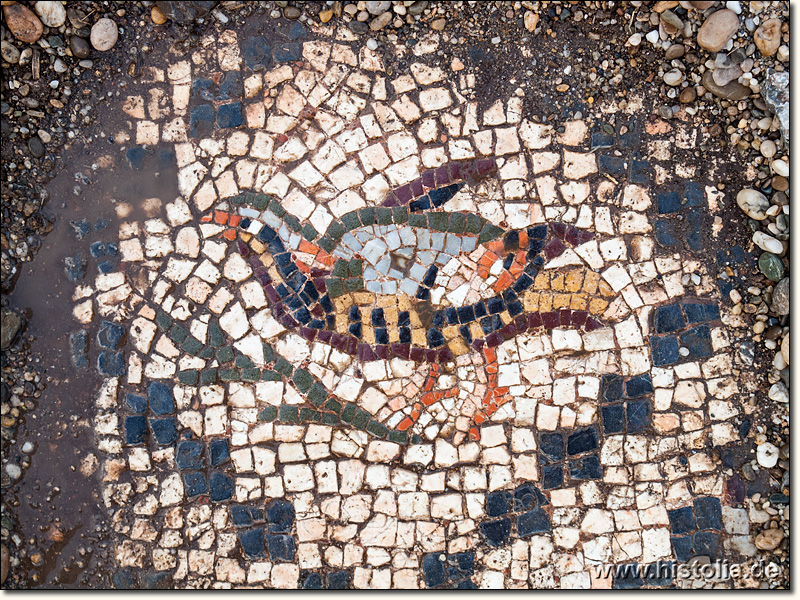 Anemurion in Kilikien - Vogelmosaik auf dem Boden eines Wohnhauses nahe dem Odeon