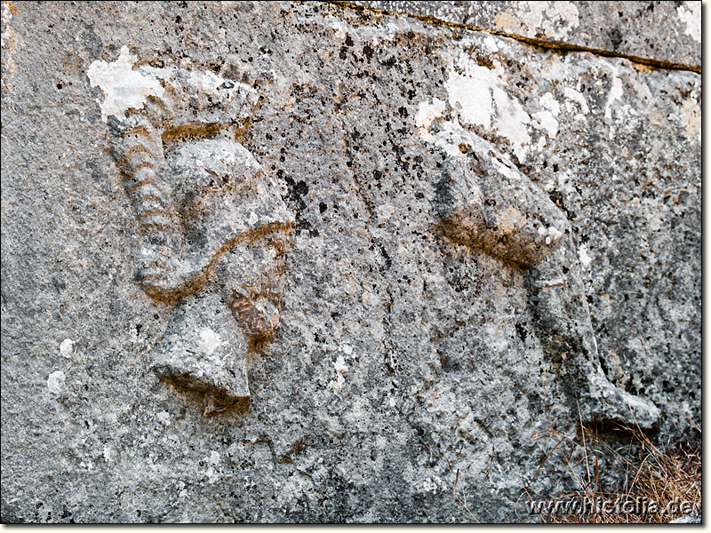 Kitanaura in Lykien - Relief am Mausoleum von Kitanaura