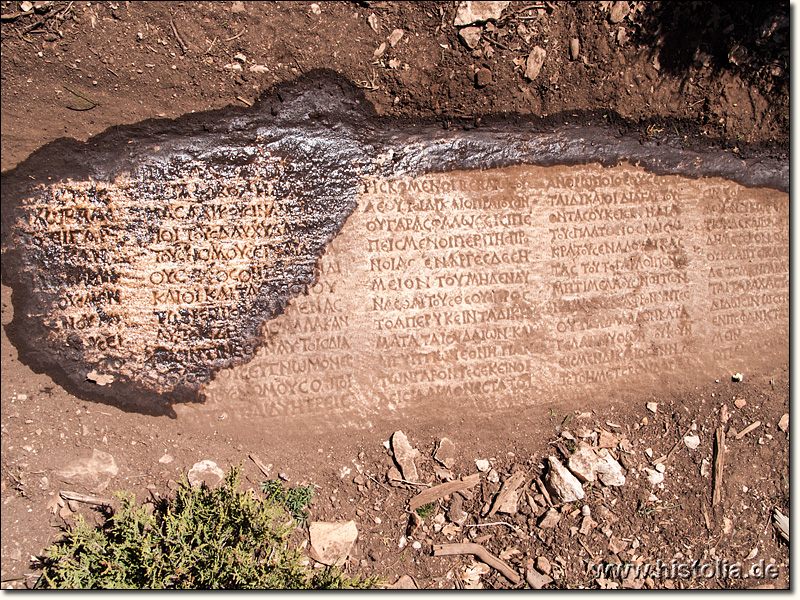 Oinoanda in Lykien - Die Inschriften des Diogenes