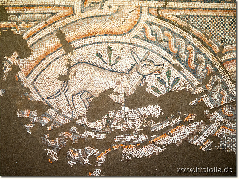 Museum von Anamur - Mosaik von der Agora der antiken Stadt Anemurion