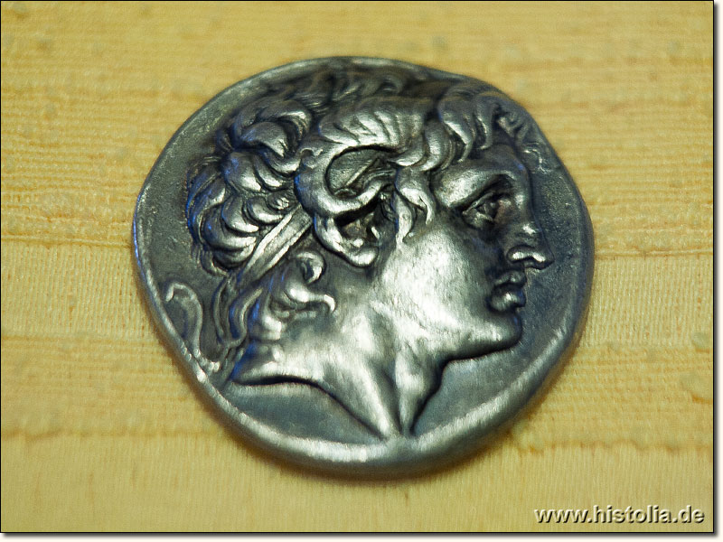 Museum von Hierapolis - Münze mit Alexander-Kopf aus Hierapolis, 3.Jh.v.Chr.