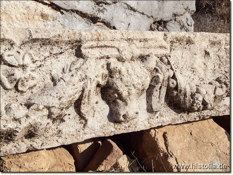 Antiochia in Pisidien - Stierkopf als Verzierung auf einem Architravstein